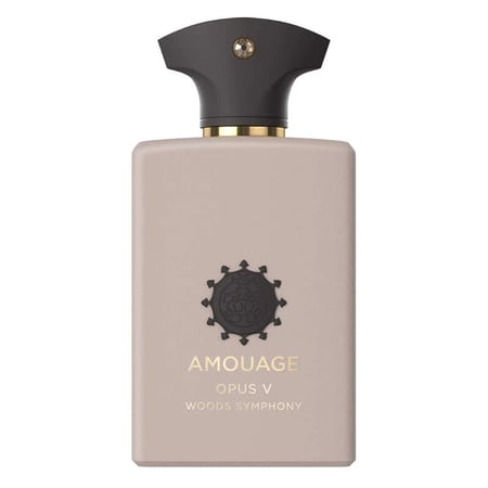 عطر امواج اوبس الخامس V او دو بارفيوم 100مل