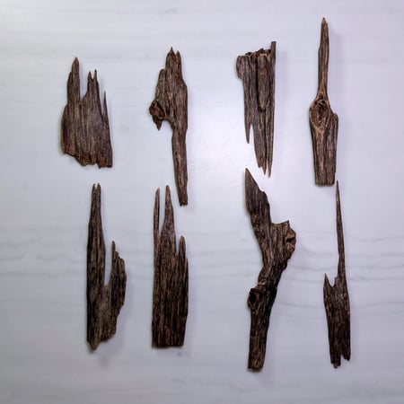 هندي نقلاند سوبر مرتفع - أوقية