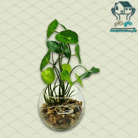 شجر صناعي بحوض زجاج دائري، 9*20 سم