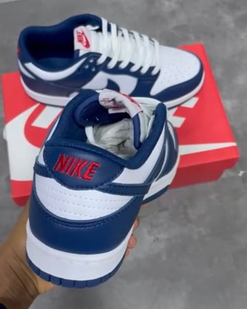 Nike Dunk Low Valerian Blue