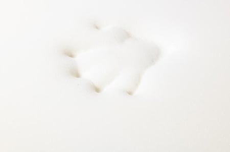 مرتبة طبي قابل للطي فوم