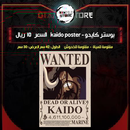 بوستر كايدو - kaido poster
