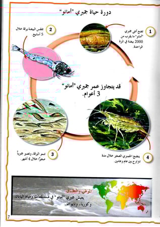 موسوعة الحيوانات - القشريات