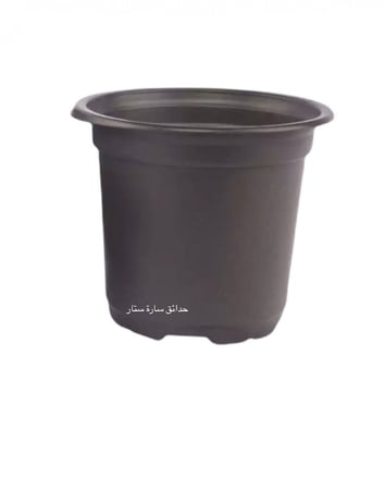 مركن 9 سم للتشتيل 100 حبات