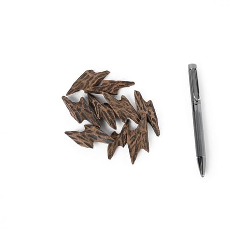 عود كمبودي محسن ملكي ( تايقر )