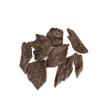 عود كلمنتان محسن السمو