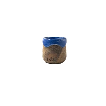 كوب ناقة 1