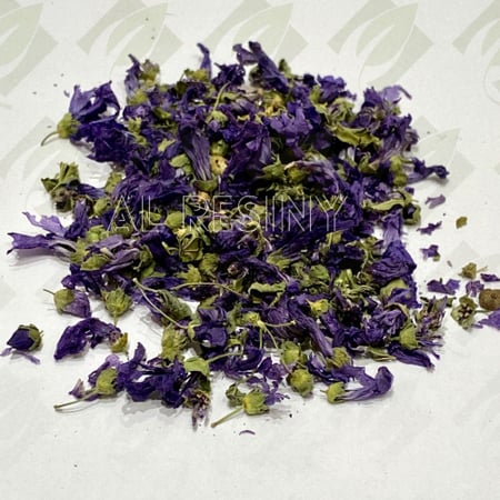 زهور البنفسج