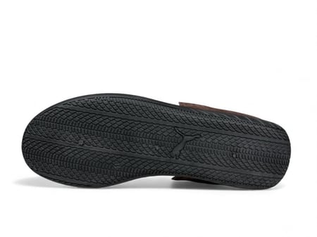 بوما سبيد براون