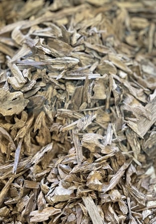 عود كلمنتان