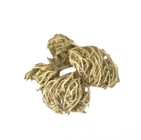 عشبة كف مريم عطارة كنوز