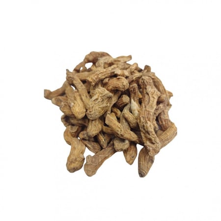 عشبة رجل الاسد
