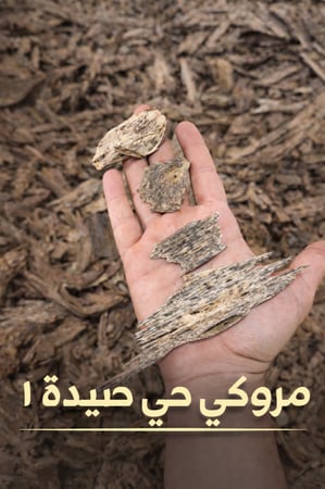 مروكي حي صيدة 1