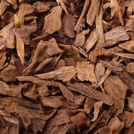 مروكي حي ارياني اقتصادي