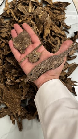 كلمنتان بونتيانك مميز