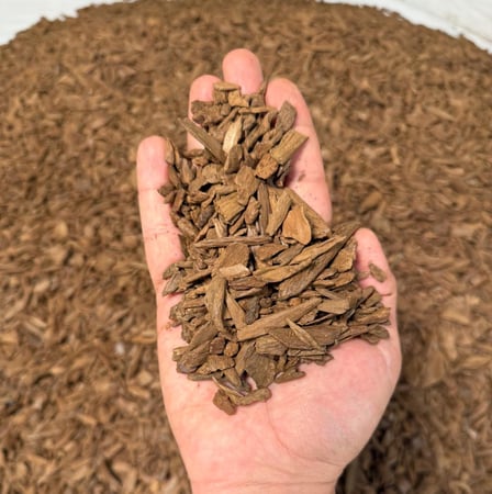 مروكي اصقون فصفص