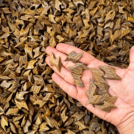 عود تايقر الذهبي