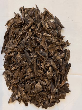 موري بنغالي غابات