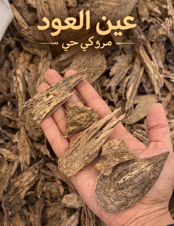 مروكي حي عين العود