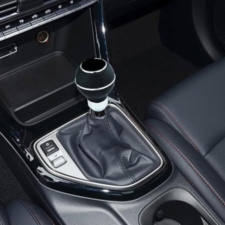 راس قير عمومي دائري جلد اسود × نيكل