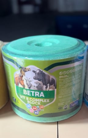 حجر فيتامين بي كومبلكس