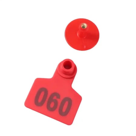 علامات ترقيم الأغنام كبير 1 - 100