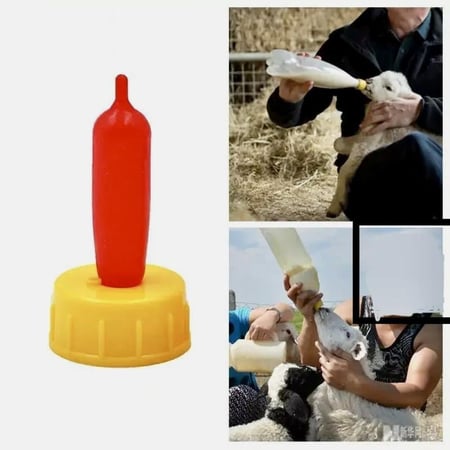 حلمة رضاعة للبهم