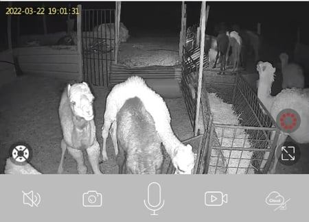 كاميرا مراقبة بالطاقة الشمسية