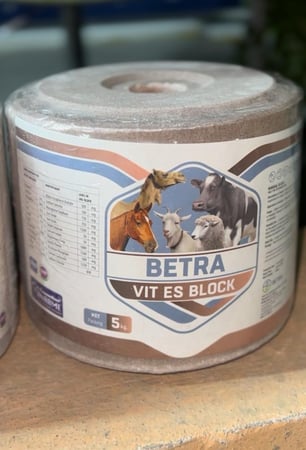 حجر سيلينيوم