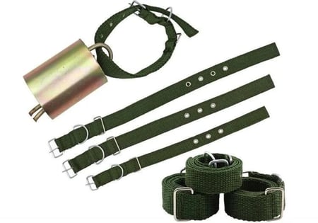 طوق رقبة للأبقار ( حزام ) مع جرس