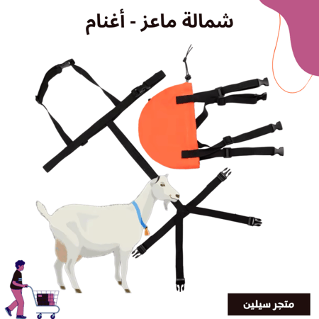 شمالة ماعز - أغنام