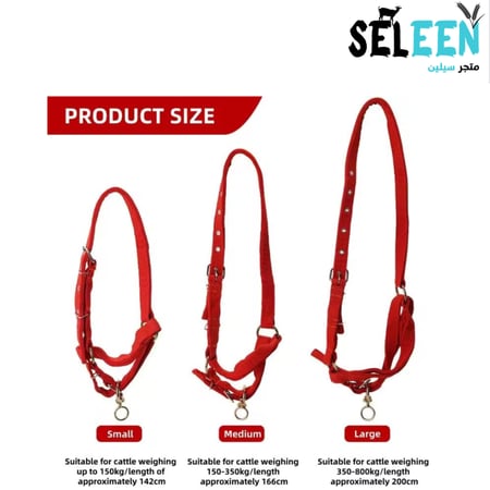 رشمة ابقار بدون مقود