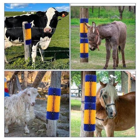 فرشاة تدليك