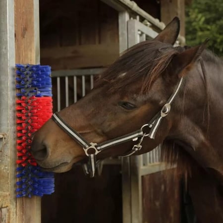 فرشاة تدليك