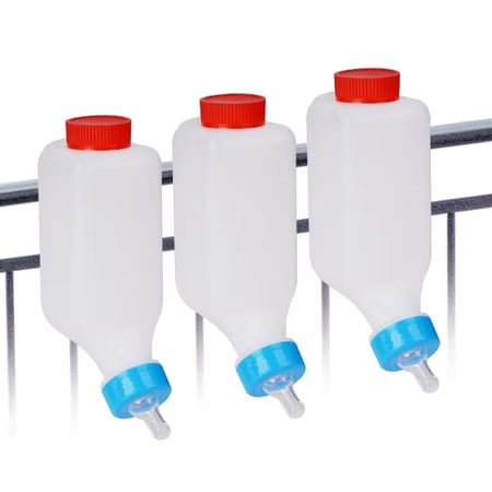 رضاعة ماعز و اغنام