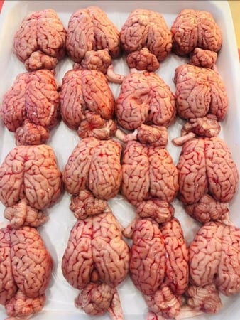 مخ غنم (الحبة)