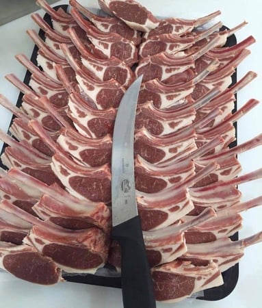 ريش لحم خروف حري