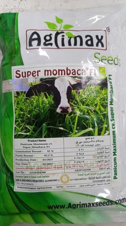 بذور بونيكام اسباني 330قرام F1