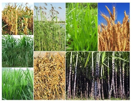 جاروشة أعلاف جراشة بنزين FFC-06