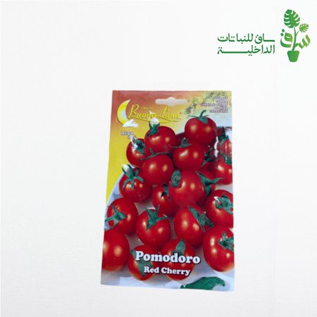 بذور طماطم شيري