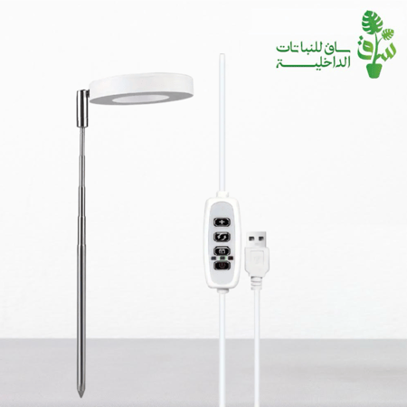 اضاءة نباتات