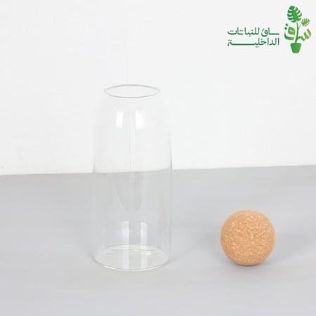 تيراريوم زجاجي كبير