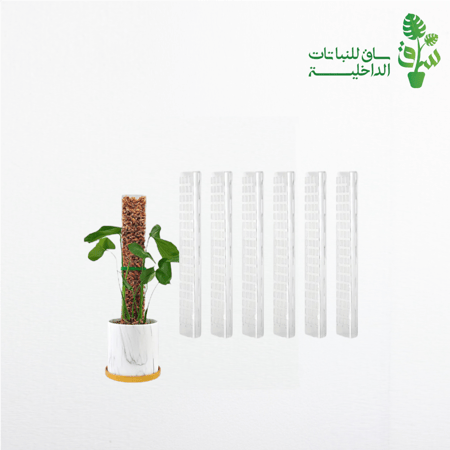 عامود تجذير