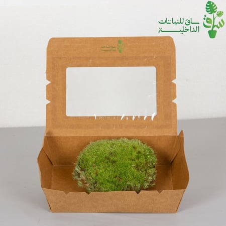 نبات عشب الموس