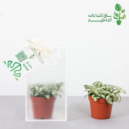 توزيعات بالحبة