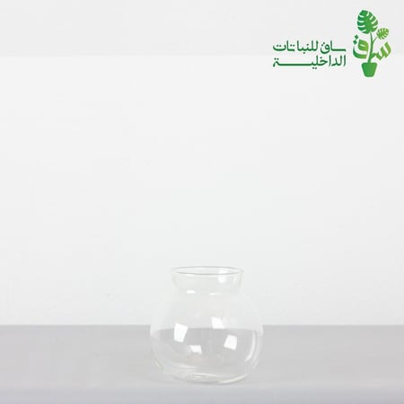 مركن زجاجي للزراعة المائية