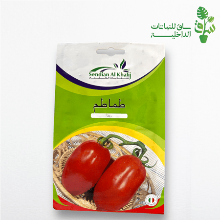 بذور طماطم