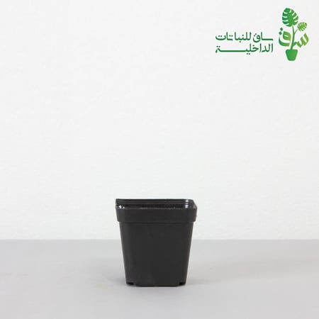 مركن مربع صغير اسود
