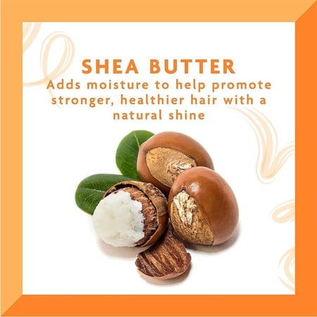 كانتوشامبو كريمي مرطب بزبدة الشيا400مل