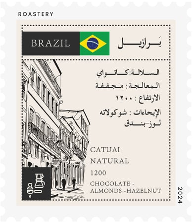 برازيلي k